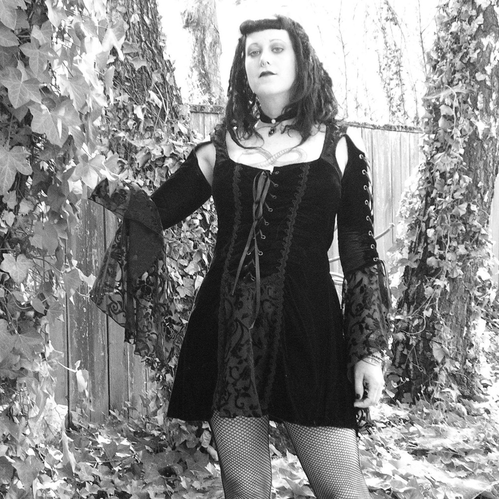 Rare Circa 2003 Lip Service Velvet/Burnout Dress L - Picture 1 of 7